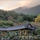 웰니스 호텔 인산가 이미지