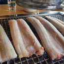 바람난장어 이미지