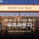 펫라운지(PET LOUNGE) | 의정부 애견카페 | 에이엔티 우프라운지 의정부점 | 루프탑에서 즐기는 파스타와 맥주 | 반려견 라운지...