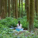 명상(야간) 이미지