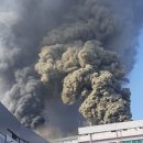 부경축산물도매시장 이미지