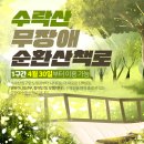 수락산 순환산책로 이미지