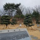 상복공원 장례식장 이미지