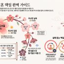 2027년 4월 결혼 날짜 완벽 가이드: 가장 좋은 날과 피해야 할 날 이미지