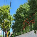 맘스터치 약사점 | 운치에서 점심 / 텀블러백 파우치 쇼핑 / 요즘먹는 영양제 / 맘스터치앤피자 먹고 또 요거트퍼플 엔딩