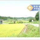 매죽헌2 - 1015 | 매죽헌2