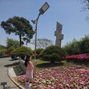 푸른솔 | 푸른솔장성CC 골프장리얼후기-첫날