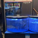 싱싱종합어시장 이미지