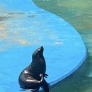 칠곡종합동물병원 이미지