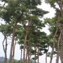 금마조경 이미지