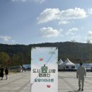 하늘달팽이 | [대전 달팽이 마라톤 후기] 도시 숲 사랑 캠페인 🌳 온 가족이 함께한 가을 힐링 페스티벌