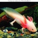 소망 행정사 사무소 이미지