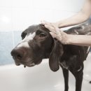 모두애동물병원 이미지