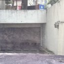 지안이네 | 용인 수지 명품 안경점 "지안안경" 래쉬 안경 직접 써본 후기
