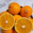 애월농장 이미지