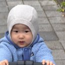 코젤병원 | 설이네 겨울일기, 유성 코젤병원 입원