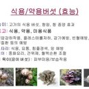 청소도사 이미지