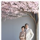 축복사진관