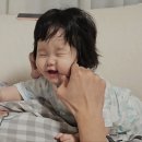 홍시필름