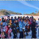 삼각태권도 이미지