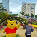 메밀꽃체육관 | 원주 중앙시장 도레미시장 자유시장 먹거리 원주 만두축제 후기