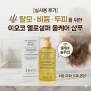 올코 | 탈모샴푸 비듬샴푸 이오코 옐로설퍼 올케어 샴푸 두피샴푸 실사용 후기