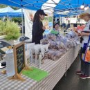 영천한우영농조합법인 이미지