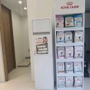 킨텍스 꿈 동물병원 이미지