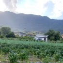 홍양농장 이미지