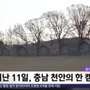 충남차유리