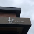 오월의정원 포레스트 이미지