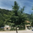 송하초등학교 이미지