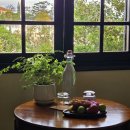 해달푸드 | 달랏 아나만다라 빌라 더블룸 2박 후기｜조식·수영장·난방 솔직 리뷰