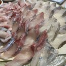 부산 금정구 금정수산회센타, 가격, 후기, 가는법