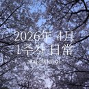 NR-29[충절로]-상-31 | 2026年 4月 1주차 日常, 패션(?)한화팬
