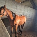 운주목장 이미지