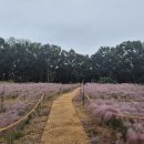 금산-12 | 금산 무드림 베이커리카페(10월 12일) 후기