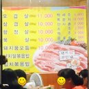 돼지꿈꾸던날2