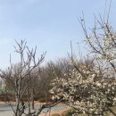 (유)짐머바이오메트코리아 | 식약처, ’24년 6월 의료제품 허가 현황 안내