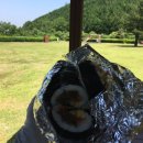 뉴봄봄김밥 이미지