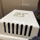 원러브동물의료센터 | 울산 무거동 동물병원 원헬스동물의료센터 고양이 수술 후기