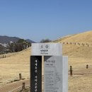 대성동고분박물관 | 대성동고분박물관/김해/대성동고분군