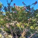 구룡서길 이미지