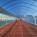 종합운동장 육상경기장 이미지