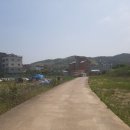 맹종죽순체험길 이미지