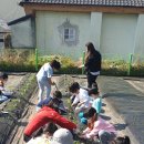창원상남초등학교 이미지
