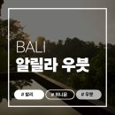 S.C.Tour 여행사 | 발리 신혼여행 우붓 풀빌라 추천, 정글 속 웰니스 허니문 '알릴라 우붓' 솔직 후기 및 선택 꿀팁