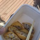 시민유치원 | 유치원 아이와 배곧 한울공원 해수풀장 후기 🏖️