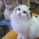 남구-037 이미지