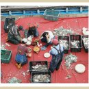 꽃게의 고장 소연평도를 다녀오다~~~ 이미지